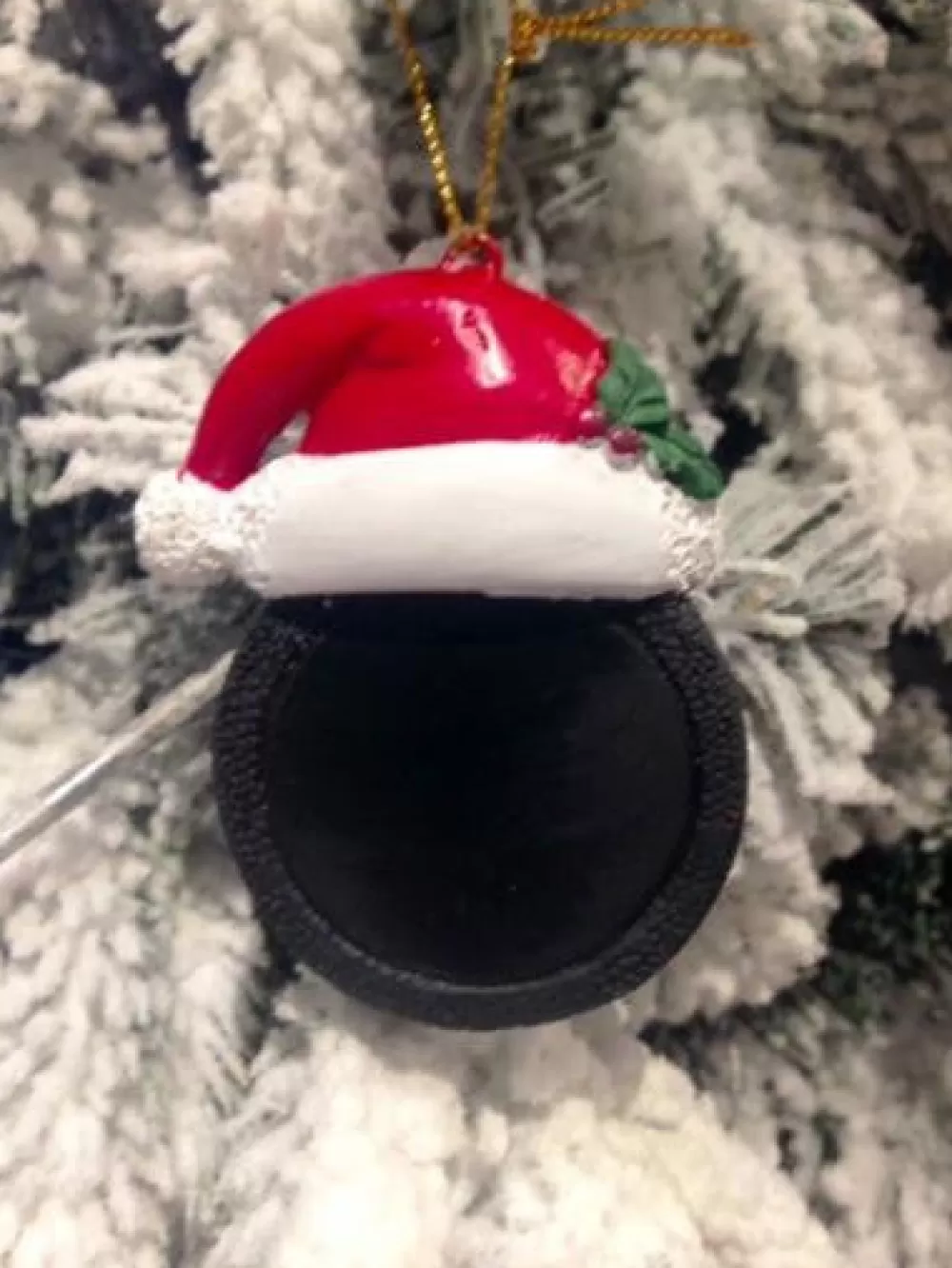 The Spirit of Christmas Sports>Hockey Puck W/ Hat